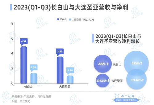 哈爾濱冰雪經濟引爆市場，上市公司掘金游樂園服務新藍海