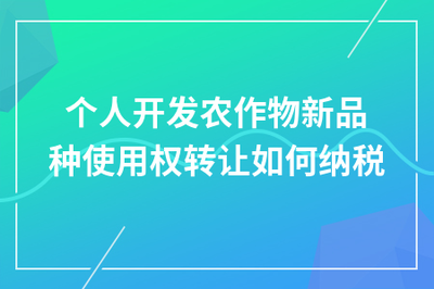 個人開發(fā)農(nóng)作物新品種使用權(quán)轉(zhuǎn)讓的稅務(wù)處理指南